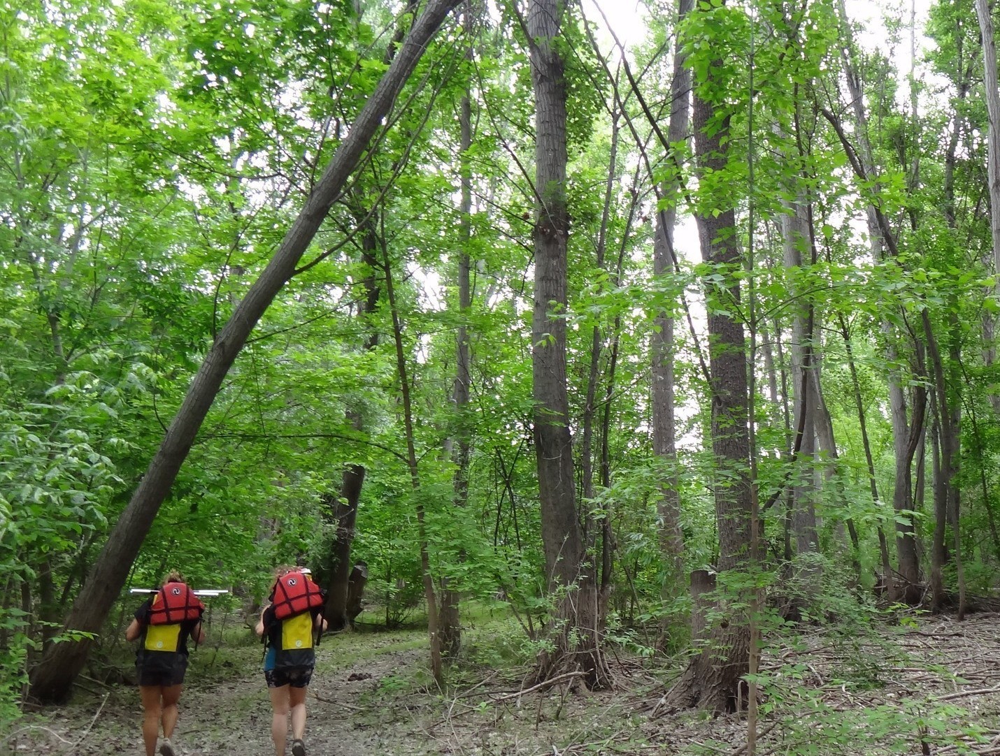 Excursión por senderos naturales