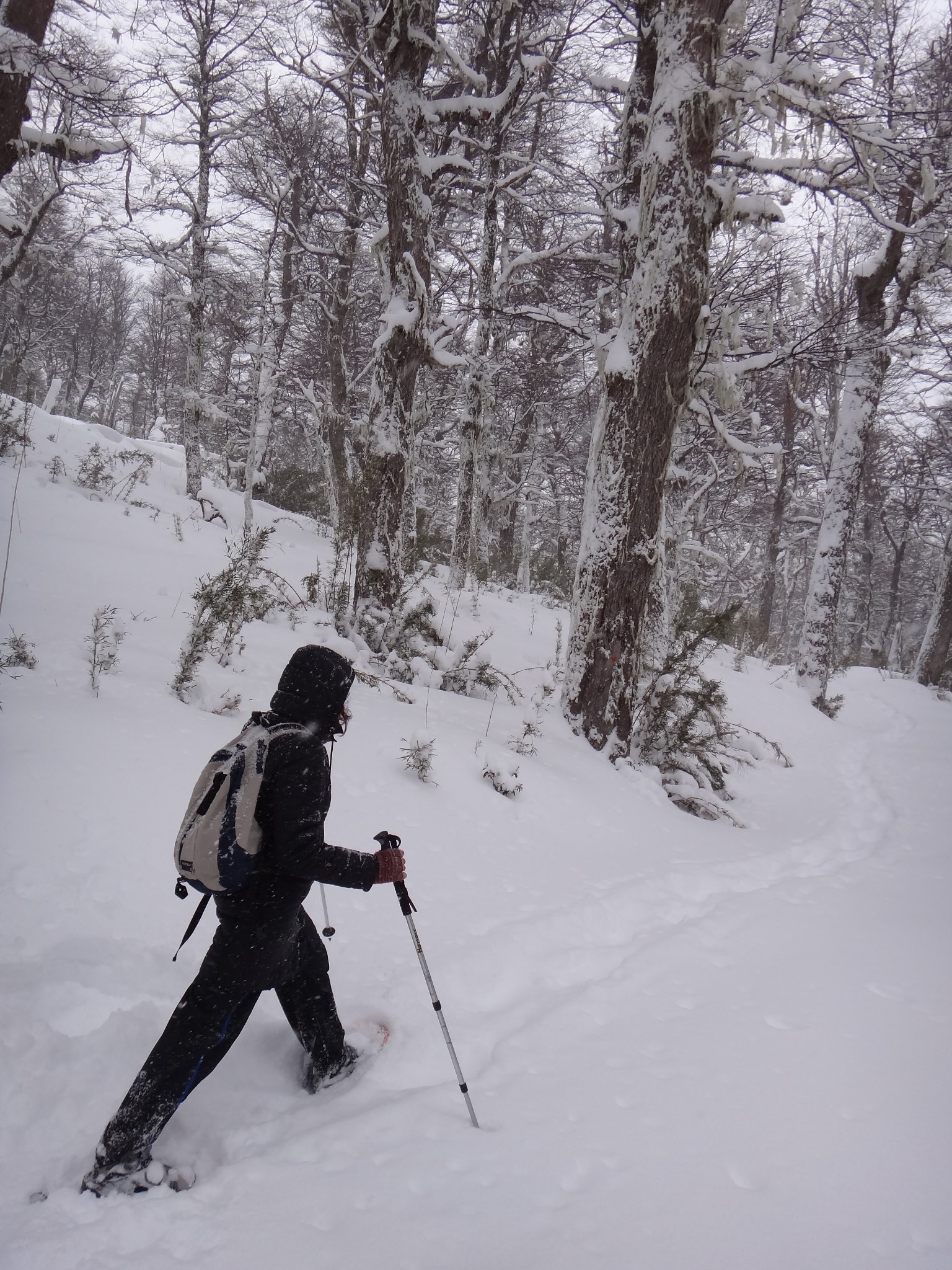 Excursión en la montaña