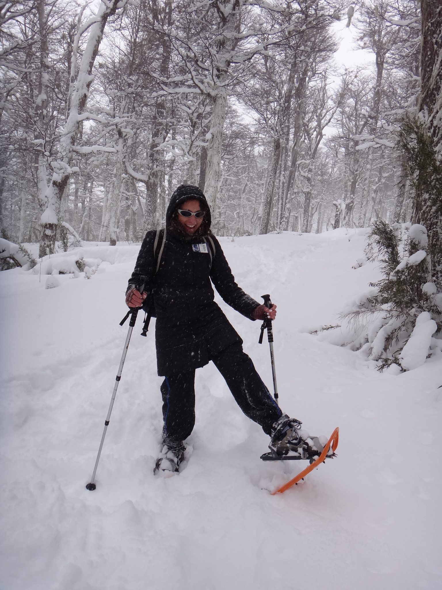 Excursión en la montaña