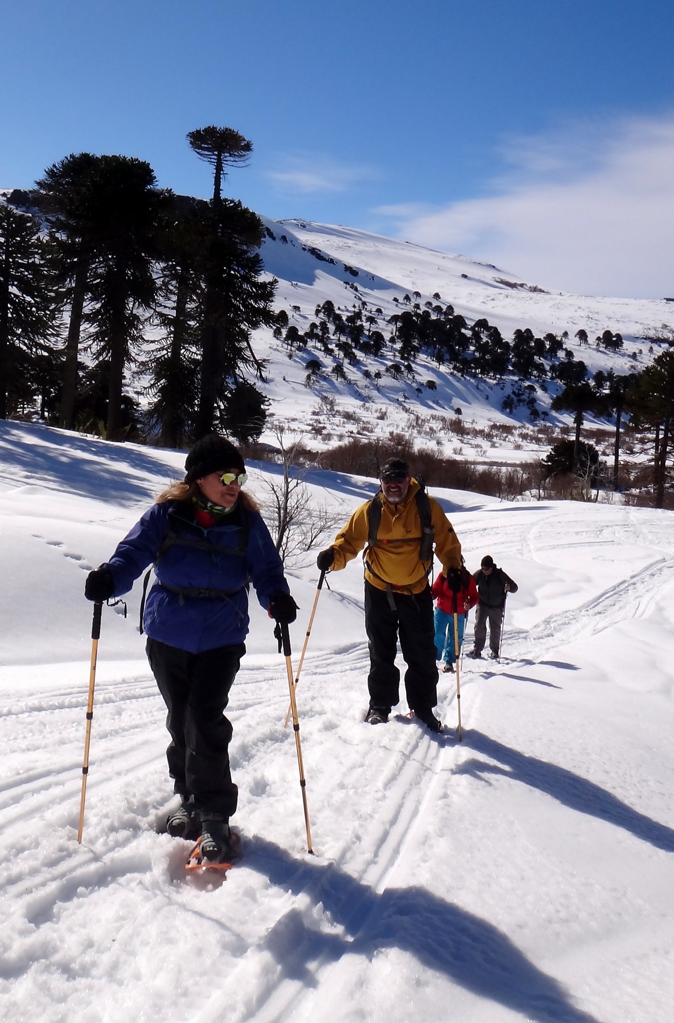 Excursión en la montaña