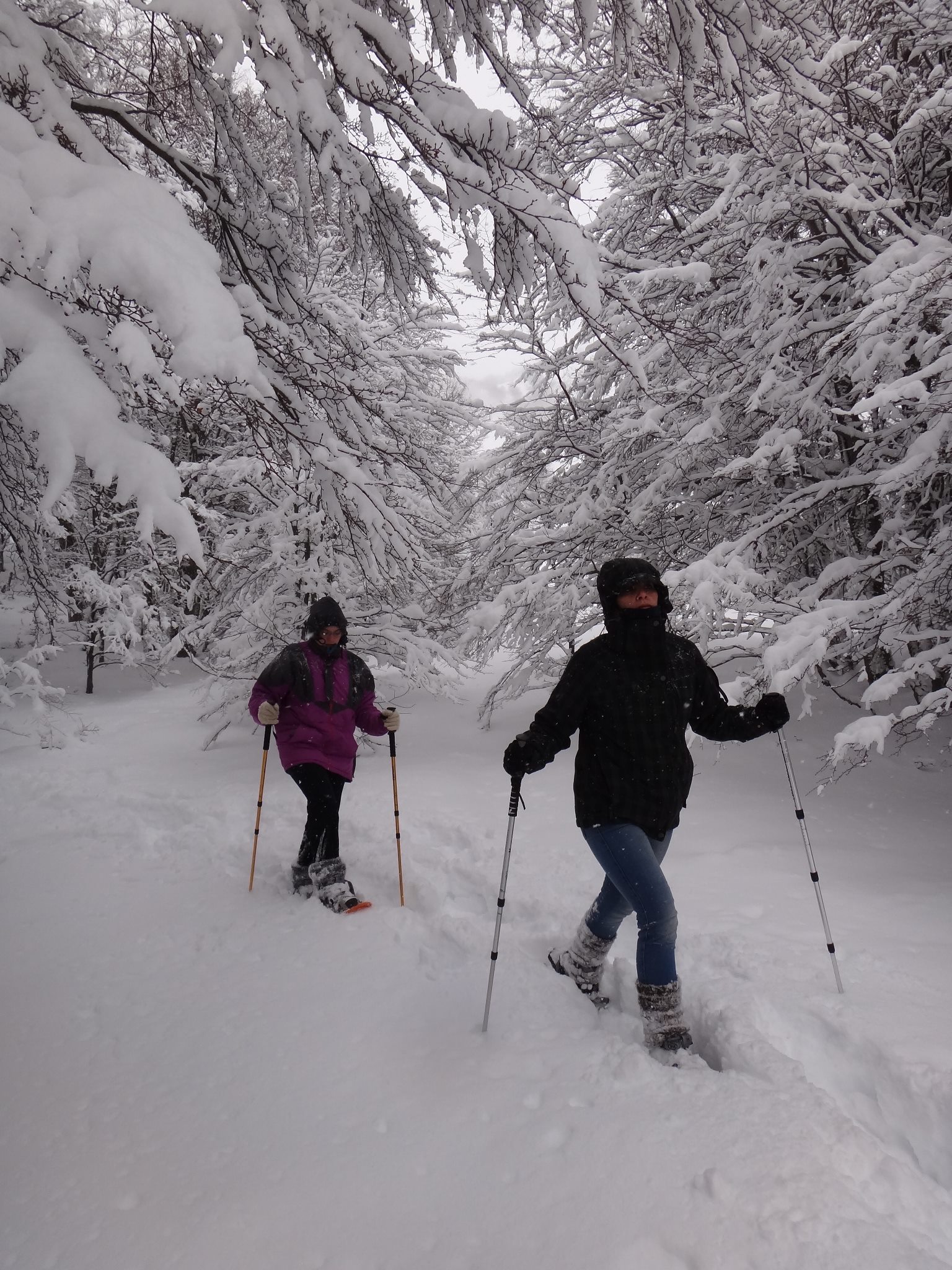 Excursión en la montaña