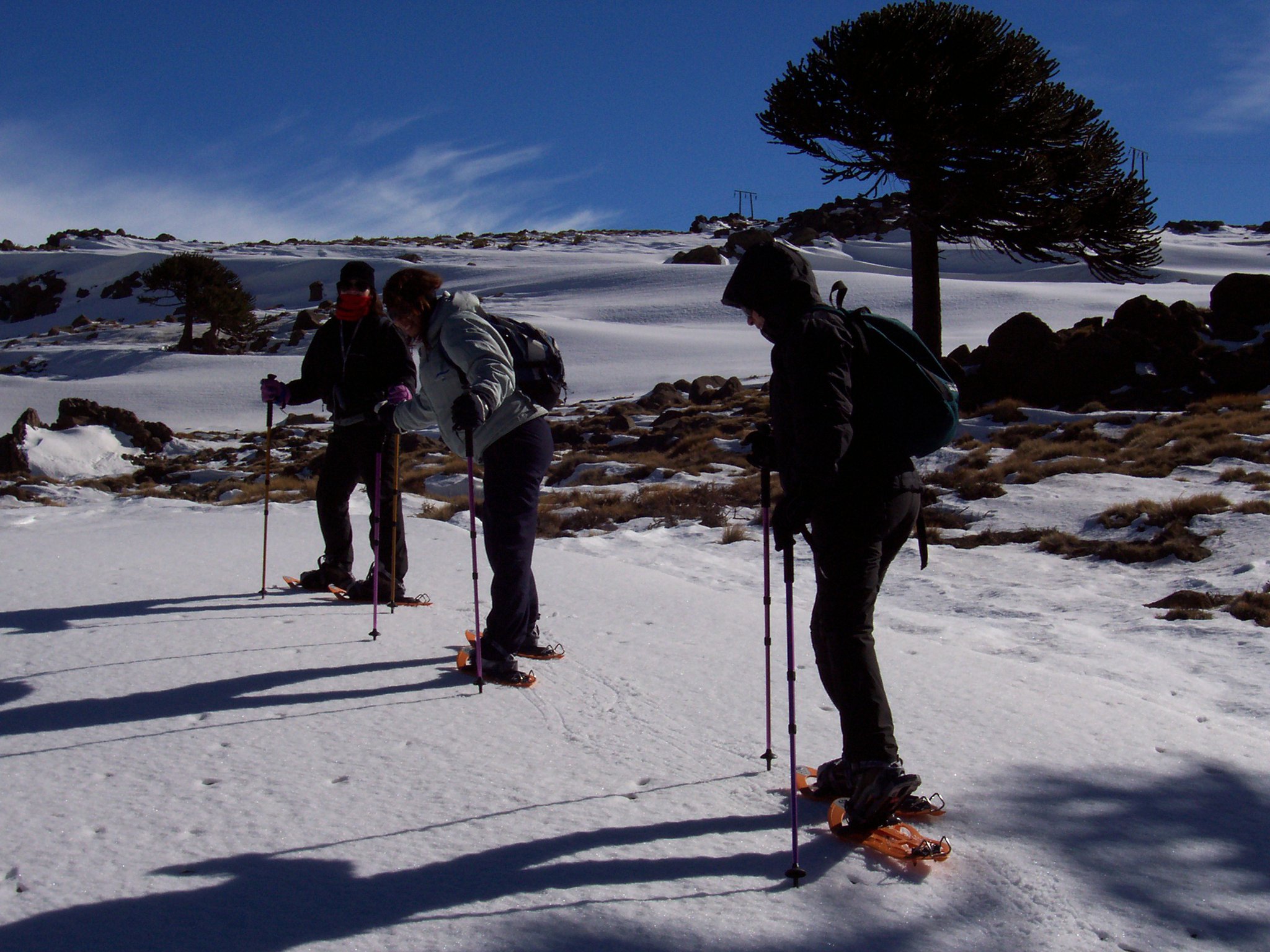 Excursión por senderos naturales
