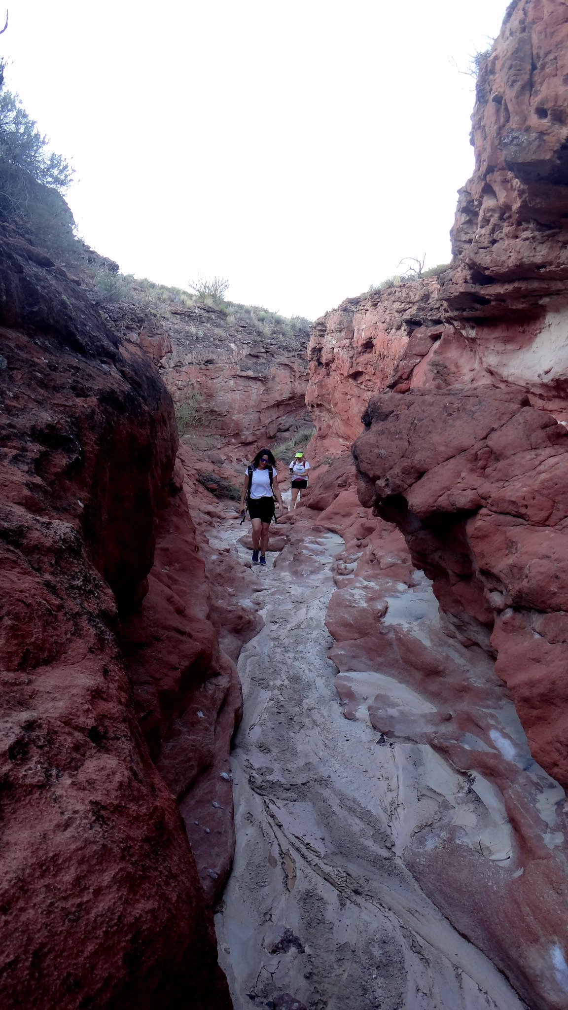 Excursión combinada