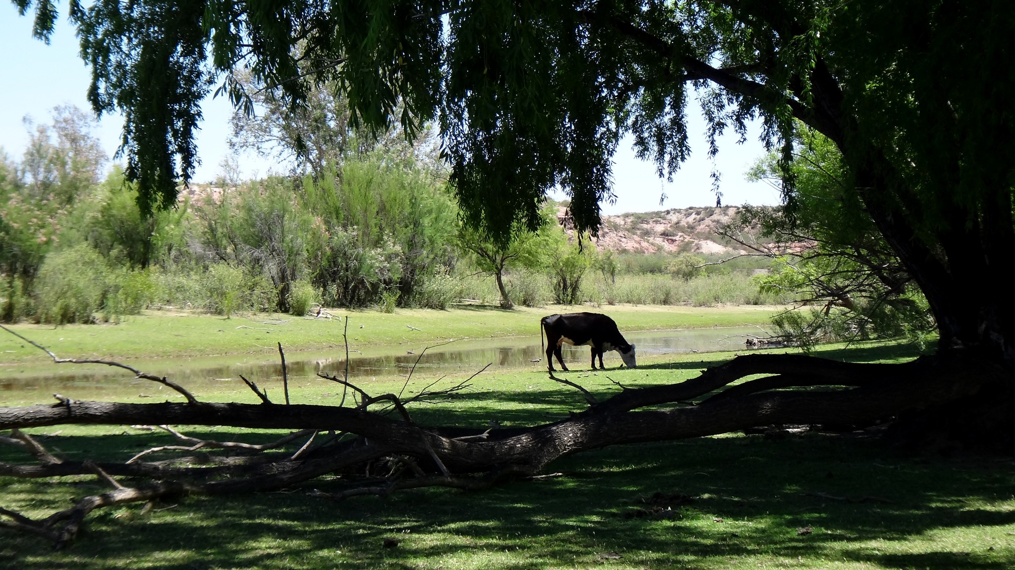 Flotada por el Río Negro