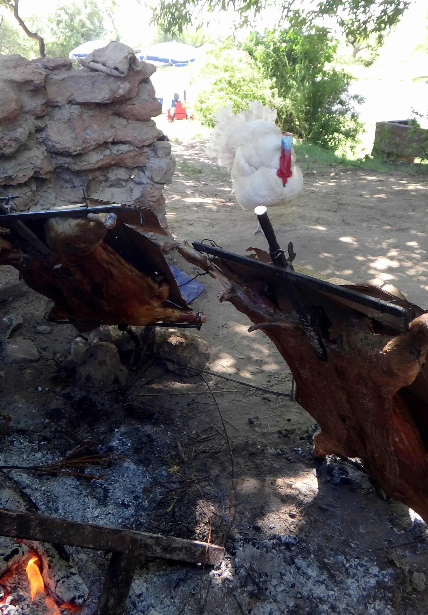 Senderismo panorámico